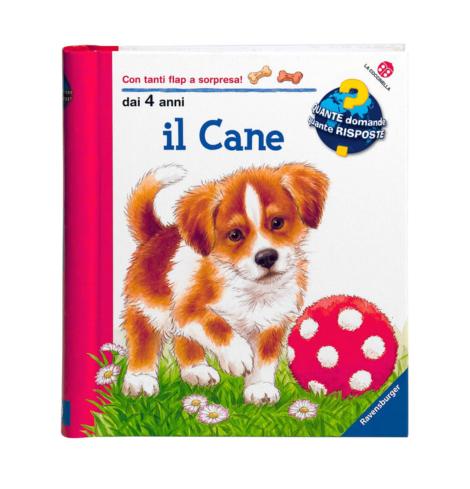 https://m.media-amazon.com/images/I/91hXRtYgJVL.jpg