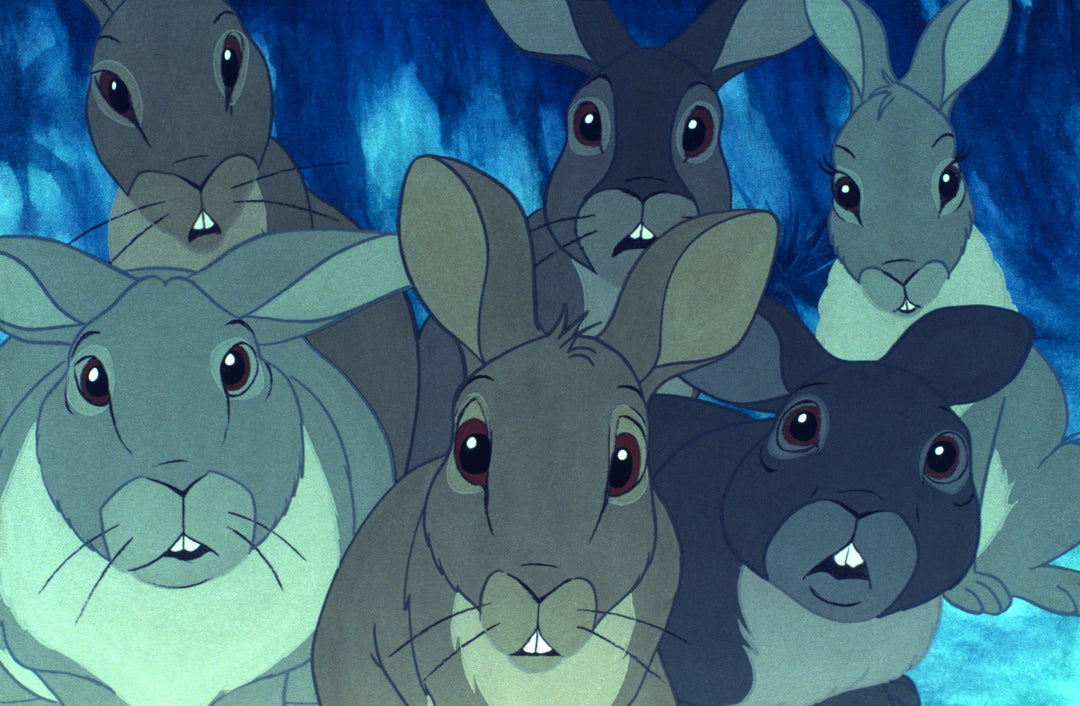 Watership Down (Criterion Collection) [Edizione: Stati Uniti];