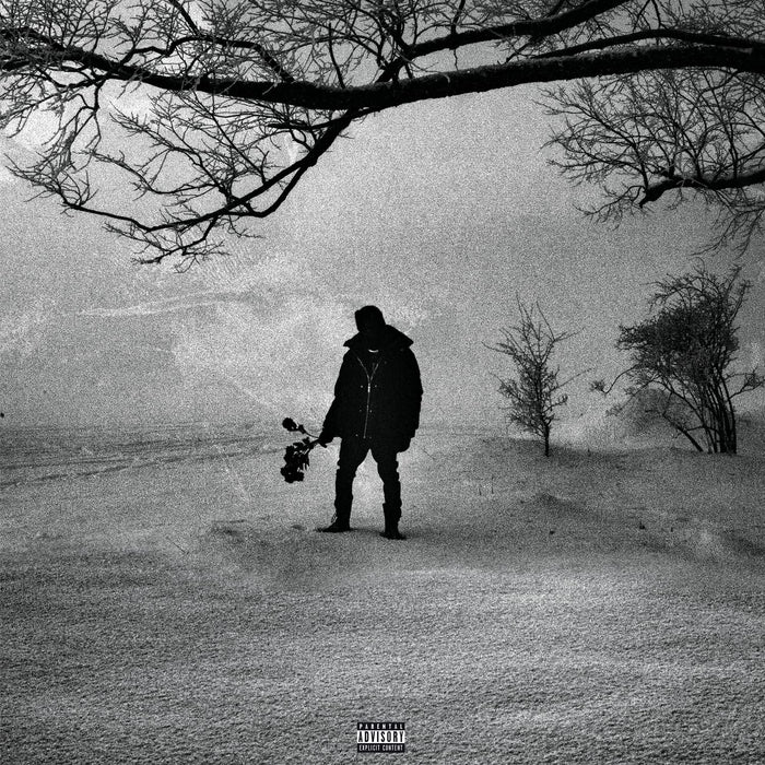 https://m.media-amazon.com/images/I/91m7l2vZbjL.jpg