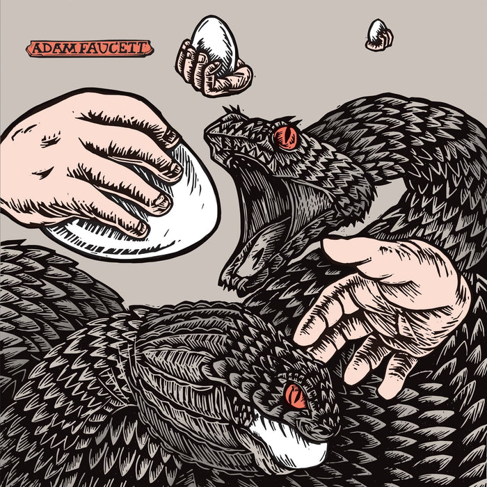 Adam Faucett - It Took The Shape Of A Bird;