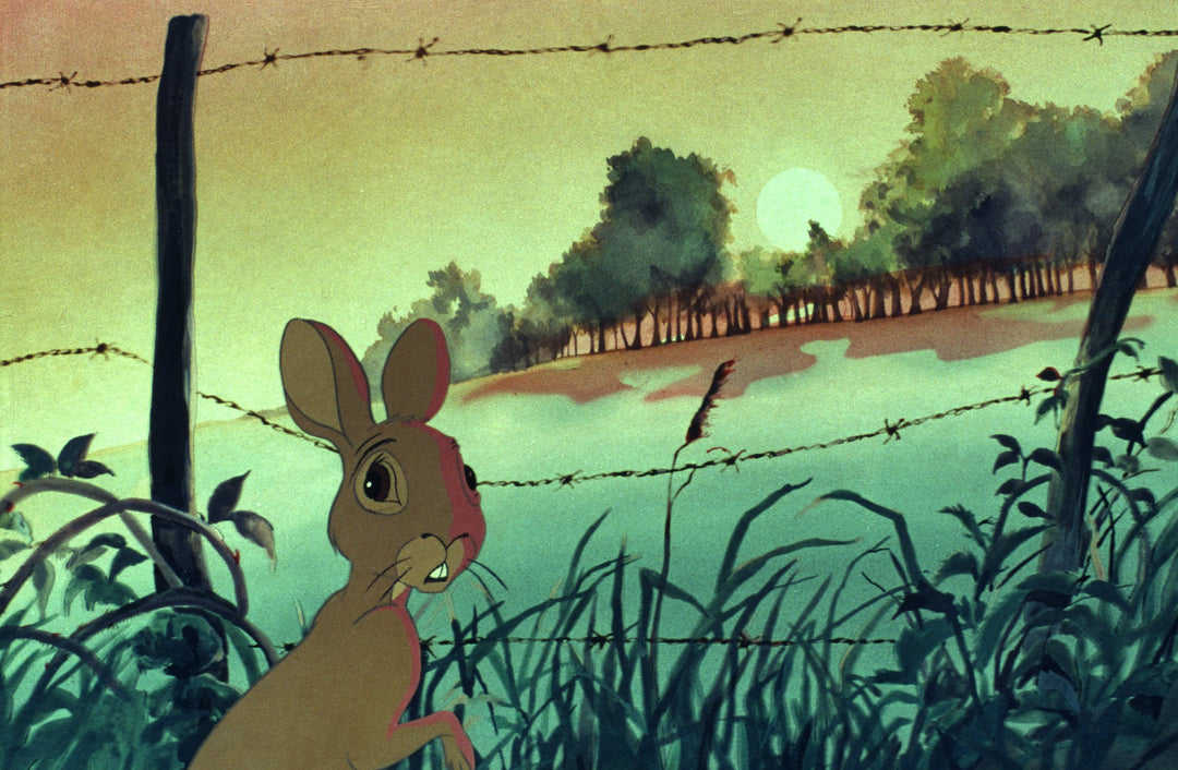 Watership Down (Criterion Collection) [Edizione: Stati Uniti];