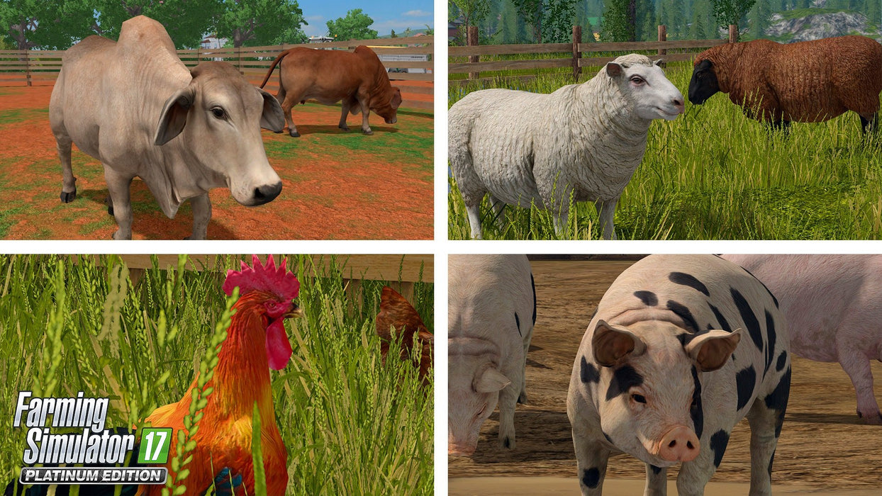 https://m.media-amazon.com/images/I/91ockOKaL9L.jpg