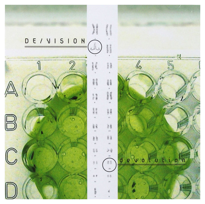 De/vision - Devolution;