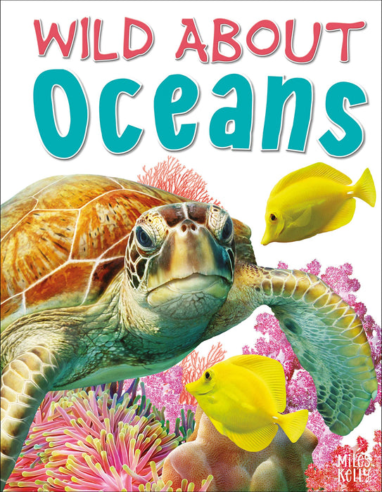 https://m.media-amazon.com/images/I/91uO7JznfuL.jpg
