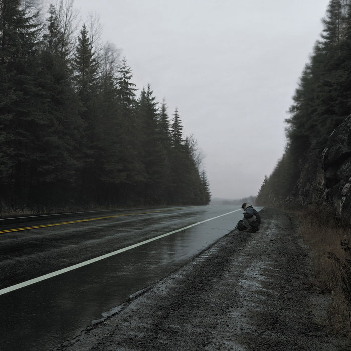 Olivier Alary - Fiction / Non-Fiction;