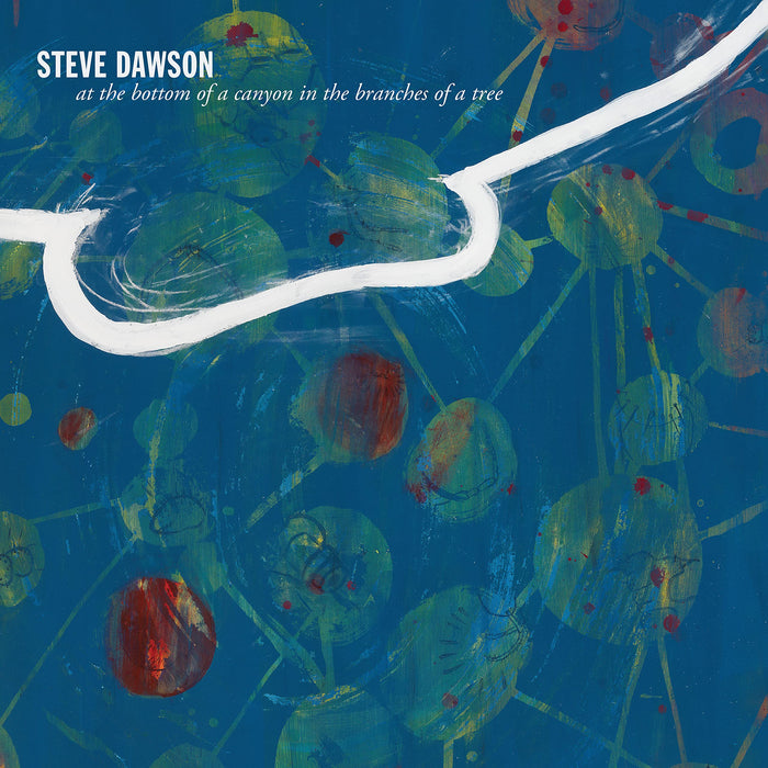 Steve Dawson - At The Bottom Of A Canyon In The Branches Of Tree;