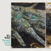 https://m.media-amazon.com/images/I/91wBcWhkVwL.jpg
