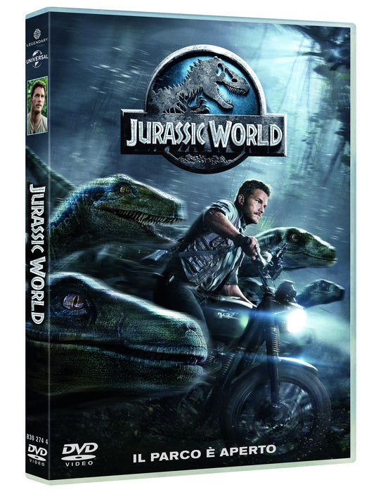 https://m.media-amazon.com/images/I/91xAV+vYsRL.jpg