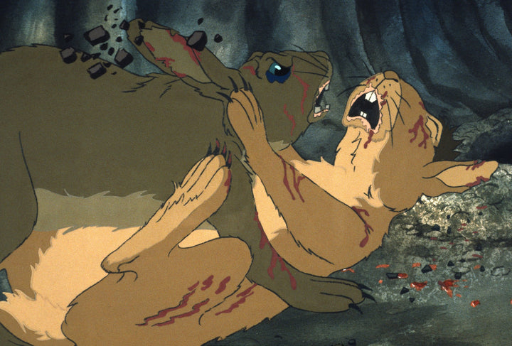 Watership Down (Criterion Collection) [Edizione: Stati Uniti];