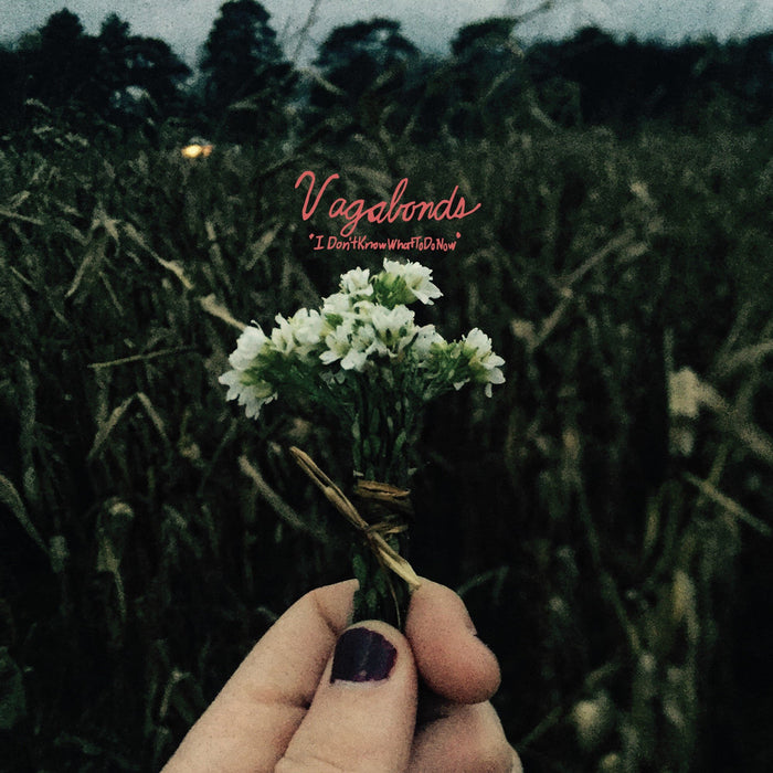 Vagabonds - I Don'T Know What To Do Now;