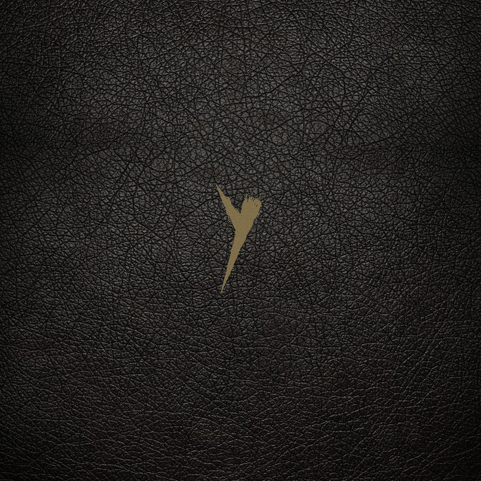 Pop Group (The) - Y (Definitive Edition);
