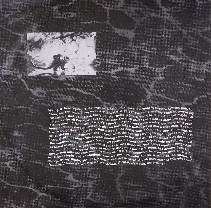 Nirvana - Nevermind;