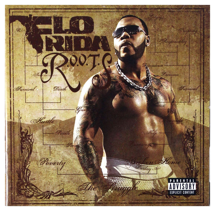 Flo Rida - R.O.O.T.S. (Route Of Overcoming The Struggle);