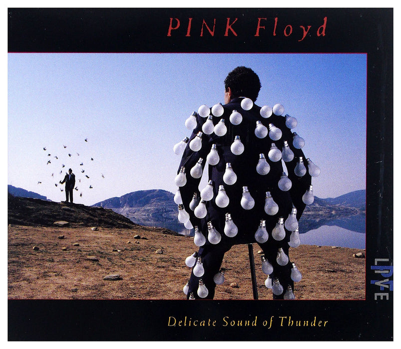 Pink Floyd - Delicate Sound Of Thunder Live (2 Cd);