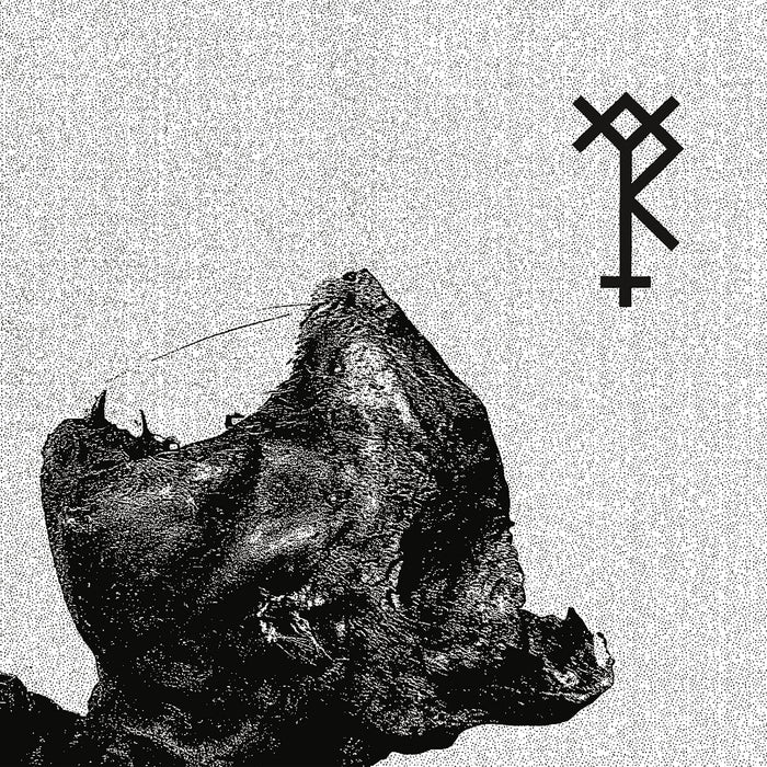 Trepaneringsritualen & Nordvargr - Konung Kront I Blod/Salve Teragmon (7");