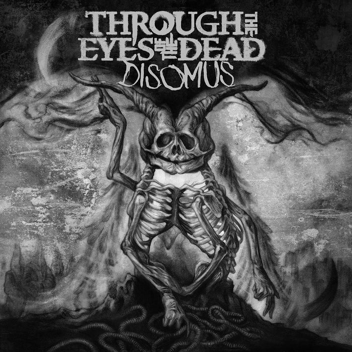 Through The Eyes Of - Disomus;